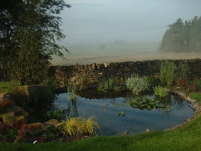 Natural Ponds & Wildlife Pools