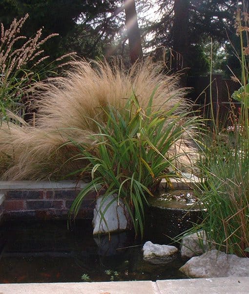 natural-water-feature-block