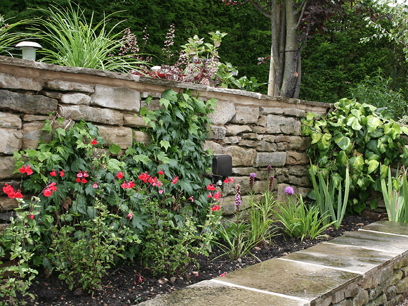 Planting and Garden Design