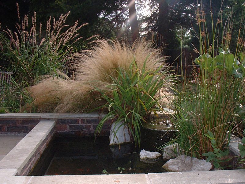 PEDDER-WATER-FEATURE-002
