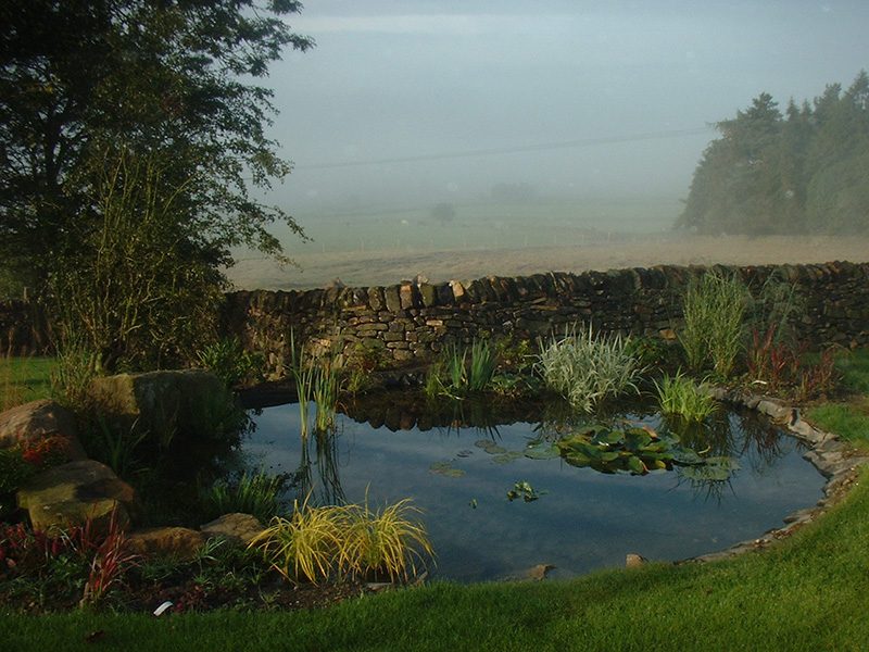 RICHARD-POND-004