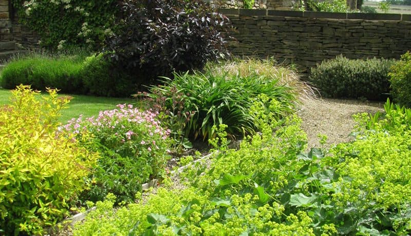 n 2